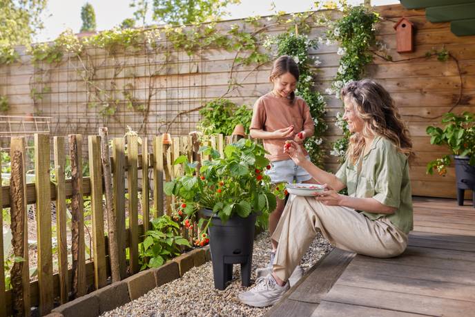 green basics erdbeertopf 33cm living schwarz